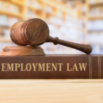 Best employment lawyers in the United States
